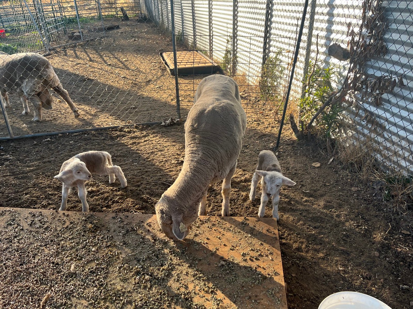 987d6536 a367 4aec abc1 70430838b6f5